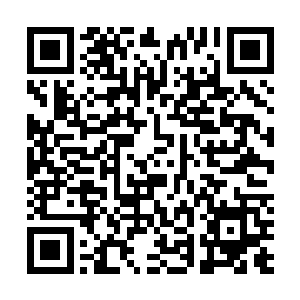 就算是完好无损的柔儿也不一定跑的过刚刚那蝎子的速度二维码生成