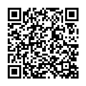 就算是家族里最纯正的血统都不一定有资格得到这个秘术二维码生成