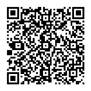 就算是小胖这样真正的神龙也必须长时间的沉睡才能够完全的消化将神奇的力量归为己用二维码生成
