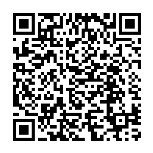 就算是尖子生也一样要被罚站……更不用说现在王老头正在气头上了二维码生成