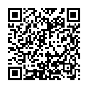 就算是常文肯定也不会拿出最大的战斗力来和林灵战斗二维码生成