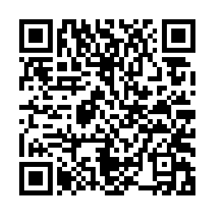 就算是得到了塔尔塔罗斯以血祭三颗神界换来的力量作为补助二维码生成