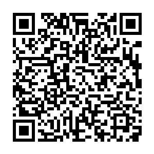 就算是我手中的犬神刀也是费了好大劲而才把这家伙的防御给撕开的二维码生成