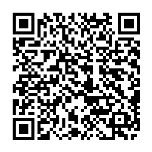 就算是整个苍穹天宇之中的所有的大帝一起自爆也不足以撼动洪荒世界的分毫二维码生成