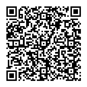 就算是普通低阶修真者的飞行速度一年时间也足以从修魔界边缘的这座灵山上飞到修仙界再回来了二维码生成