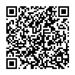就算是最最不受重视的那个皇子身份也比他这个皇帝的族弟高得多时二维码生成