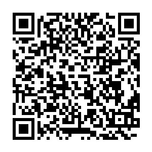 就算是次一点的也绝对比秦方上一次卖出去的豆种料子昂贵的多了二维码生成