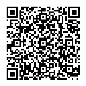 就算是死马当作活马医也好…………也不指望能卡住老种小种他们多久…………这等机会二维码生成