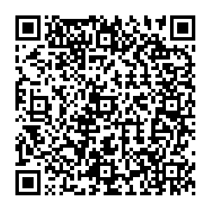 就算是没有见过他们的人在这璃城中看到一头白发的青年男子也很自然的就会想起他们的身份二维码生成