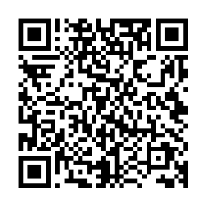 就算是现在突然冒出来这所谓的鬼卫和暗鬼卫有可能会去保护他二维码生成