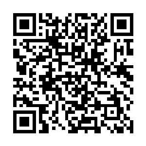 就算是离得很远的白芷璃和东黎墨也感觉到了这叫声了二维码生成