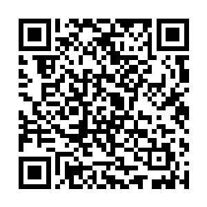 就算是菲尼斯都绝对没有办法在我撞到你之前打到我二维码生成