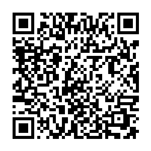 就算是虚谷掌门颜清尊主以及婉君长老三人联手也无法撼动守护石的呀……二维码生成