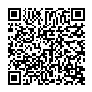 就算是通过虚拟技术完全复原王世子跟洛卡利亚的会面过程都是很简单的事情二维码生成