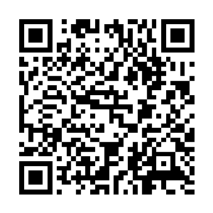 就算是陆为民和沈君怀看涂镇海怎么不顺眼恐怕也不敢动吧二维码生成