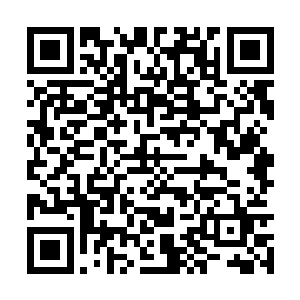 就算有人从外面经过看到的也不过是一片树林而已二维码生成