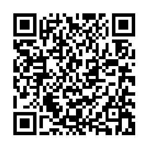就算楚旬等人能够凭借某种法宝或者是功法暂时挡住他的进攻二维码生成