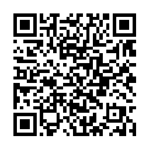 就算此刻站在自己面前的乃是修武界震武门的门主二维码生成