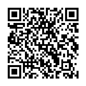 就算白皇战尊五人单独一个拿出来实力对门主来说不怎么样二维码生成