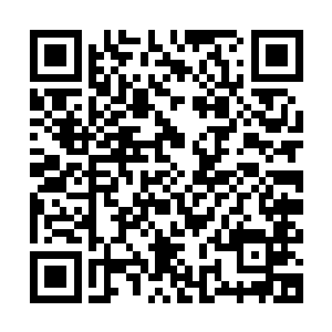就算眼前的这位南宫夜凡公子在南宫世家并非是家主的最佳人选二维码生成