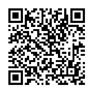 就算第二天早上立刻坐飞机飞往马萨诸塞州也要下午到学校了二维码生成