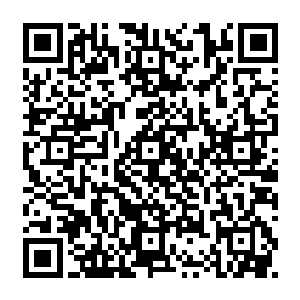 就算细细调养都需要半个月的时间才能修复成这样的伤势……居然十几分钟就搞定了二维码生成