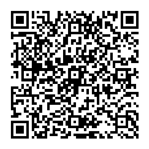 就算这个校长拿出了六年级的考试试卷来测试金在珉的知识度也被金在珉在短短的十分钟内完成了二维码生成