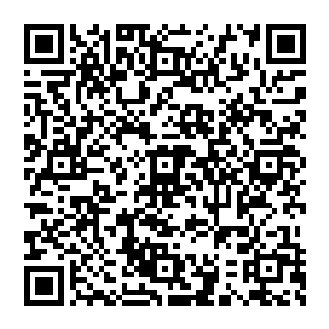 就算这里的一切让凤惊华感到意外惊喜但是这些书籍带给她的震撼简直无法有任何一个词语来形容二维码生成