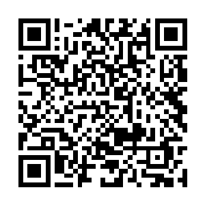 就算黎王和柳家提议要另立新君也不算说不过去了二维码生成