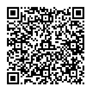 就能在很短的一瞬间内……从敌人的身上看到涂鸦般纵横交错的线与一个个形成线的点……二维码生成