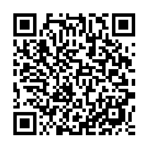 就能把一个组织的力量提升到全世界高级组织相差不多的地步二维码生成