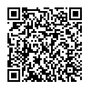 就被一群一拥而上如狼似虎一般的凶残的学长们给挤到了好几米之外了二维码生成
