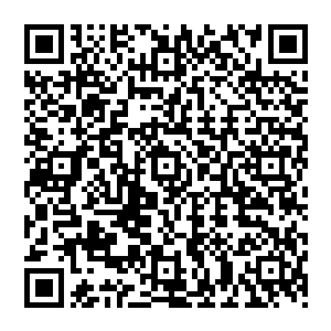 就被一股无形的气劲泯灭了生机――这是刘宇在战斗中探索出来的一点身体内内力的运用之法二维码生成