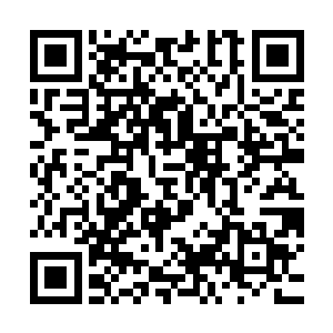 就要在今日摧破已经在燕地狂乱了一个多月的复辽军卷起的潮流二维码生成