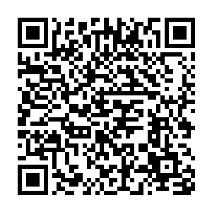 就见到林封谨依次一根一根的将半尺长的爬地虎送入到了木钵里面二维码生成