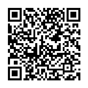 就见十几条体型庞大的旗鱼正在前方围着一个金光闪闪的大箱子二维码生成