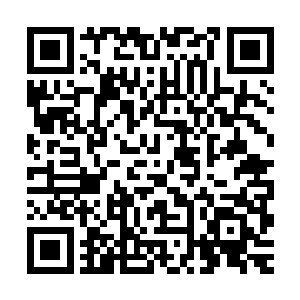 就观点的细微分歧争论了几句――查兹帮着罗杰朗读了他的论点二维码生成