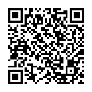 就让苍云派的掌门和他带来的两名分神期的长老们彻底地怒了二维码生成