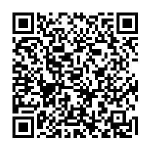 就说林小乖听说也用赚的稿费和卖花得来的钱救了不少因为医疗经费不足二维码生成