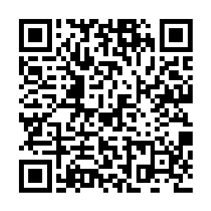 就贡献了一次助攻曼城终于有了一个真正意义上的组织核心二维码生成