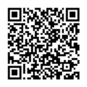 就足以结合其他搏击方式设计出更适合在全世界流行的动作套路二维码生成