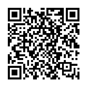 就跟他们曾经在迷失幻域中使用诅咒道具后遭到的反噬一样二维码生成