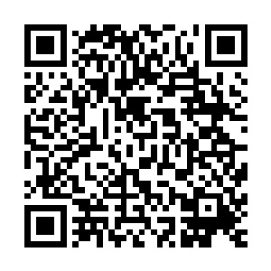 就这么堂而皇之地将这位新诞生的王主安置在一群伪王主当中二维码生成