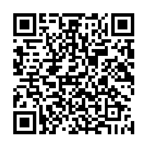 就这样被简单粗暴地决定了生死党卫军甚至没有任何的思考二维码生成