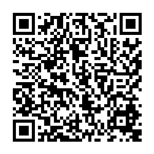 就连一向和我没有什么交集的张敏也突然主动提出下班后和我一起去逛街二维码生成