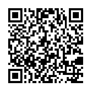 就连一旁的小海皇波塞希也是忍不住挥舞了一下拳头二维码生成