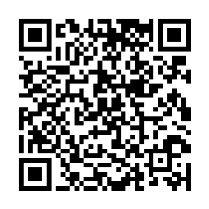 就连一直表现得隔岸观火很快乐的林红猿也微微错愕二维码生成