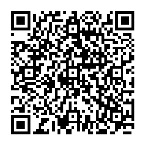 就连一边的九龙镇天印也是微微的动了一下…显然九龙镇天印的灵xing还是没有失去的二维码生成