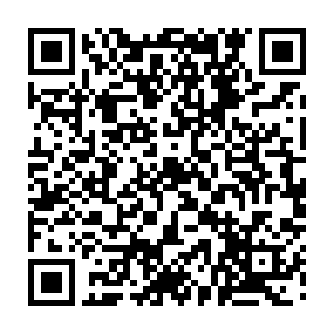 就连与他生活在一起这么多年的番族人似乎也没见过如此凶神恶煞的阿塔山二维码生成