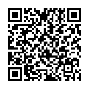 就连世界树都无法看清楚被混沌所笼罩的秦宇此刻的状况二维码生成